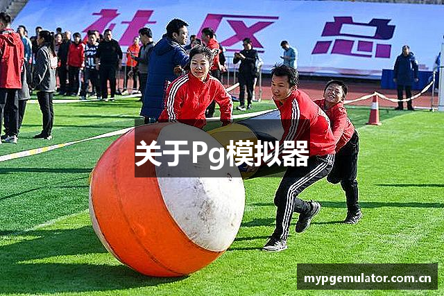 关于Pg模拟器